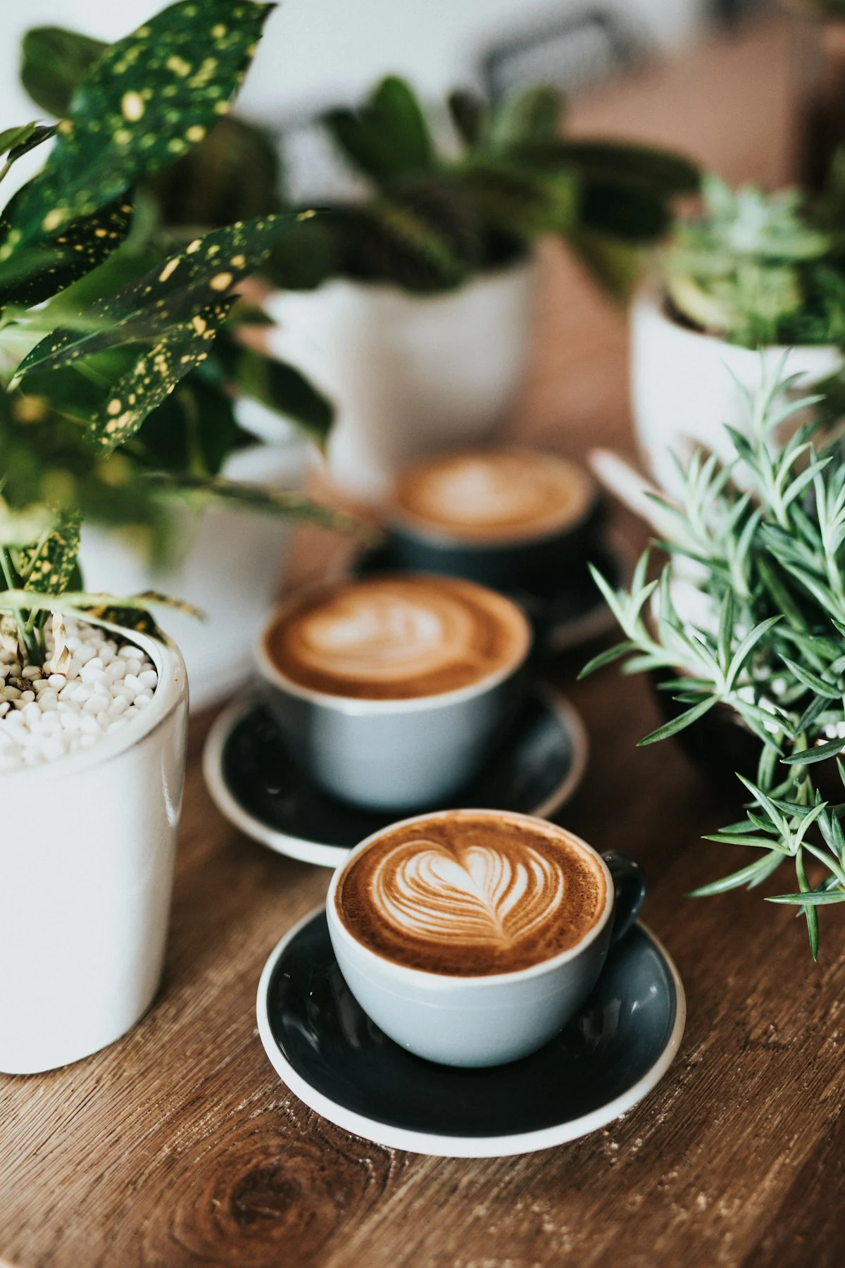 Il Caff&egrave; Perfetto a Casa: Le 10 Migliori Macchine del Caff&egrave; del 2026 &ndash; Automatiche, Capsule e Manuali a Confronto