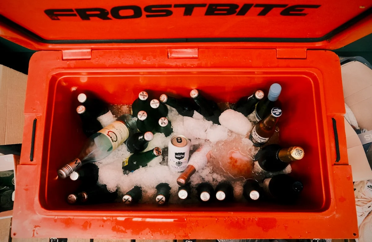 I 10 Migliori Frigo Portatili del 2026 &ndash; Compressore, Termoelettrici e Box Passivi a Confronto