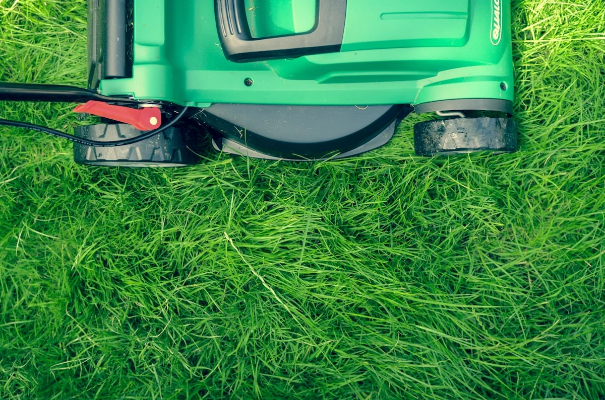 Prato Perfetto Senza Fatica: I 10 Migliori Tagliaerba Elettrici e a Batteria del 2026 &ndash; Makita, Einhell, Bosch e Gardena a Confronto