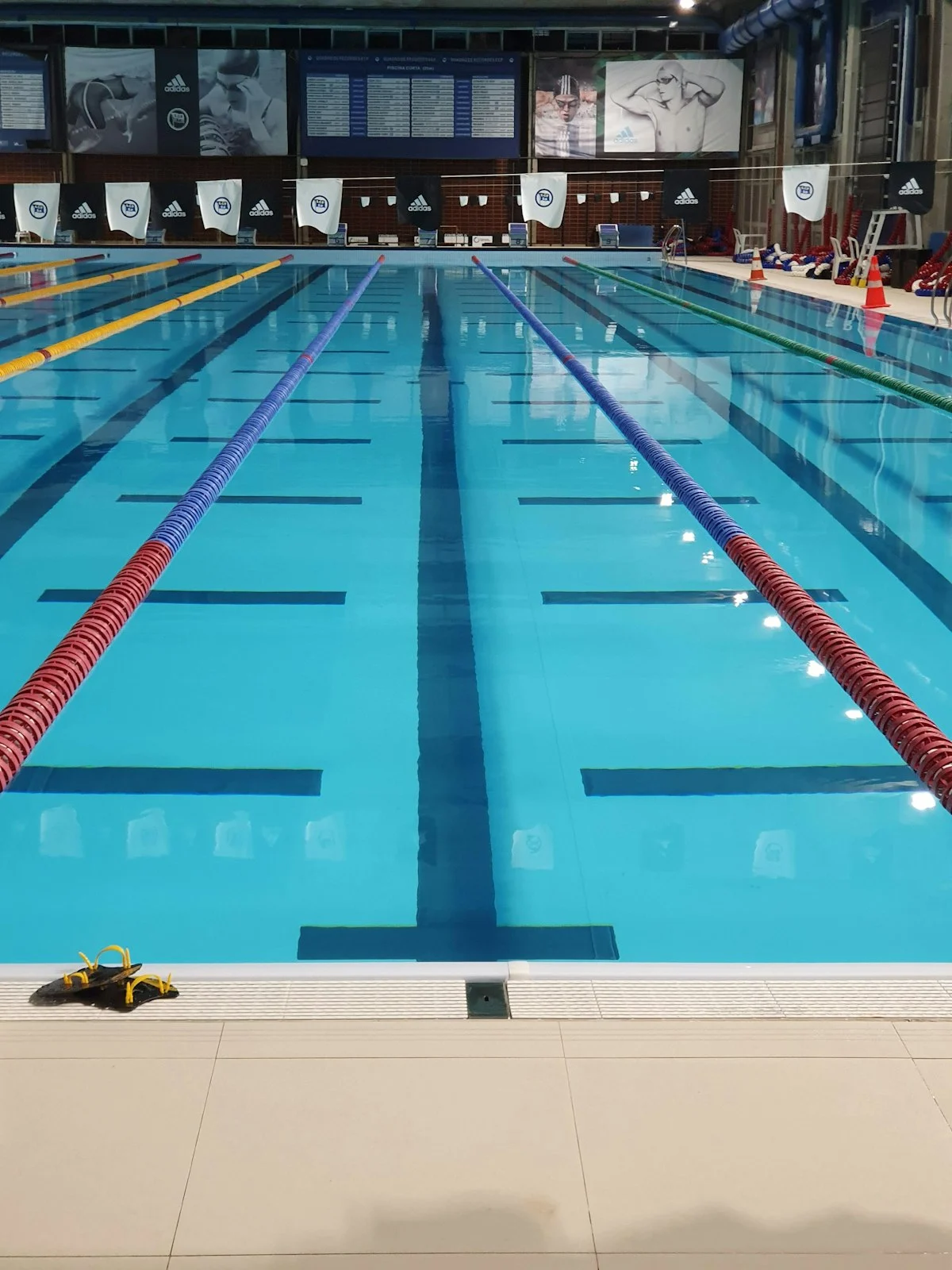 Le 10 Migliori Piscine Fuori Terra del 2026 &ndash; Telai Acciaio Premium, Steel Pro Max e Easy Set a Confronto