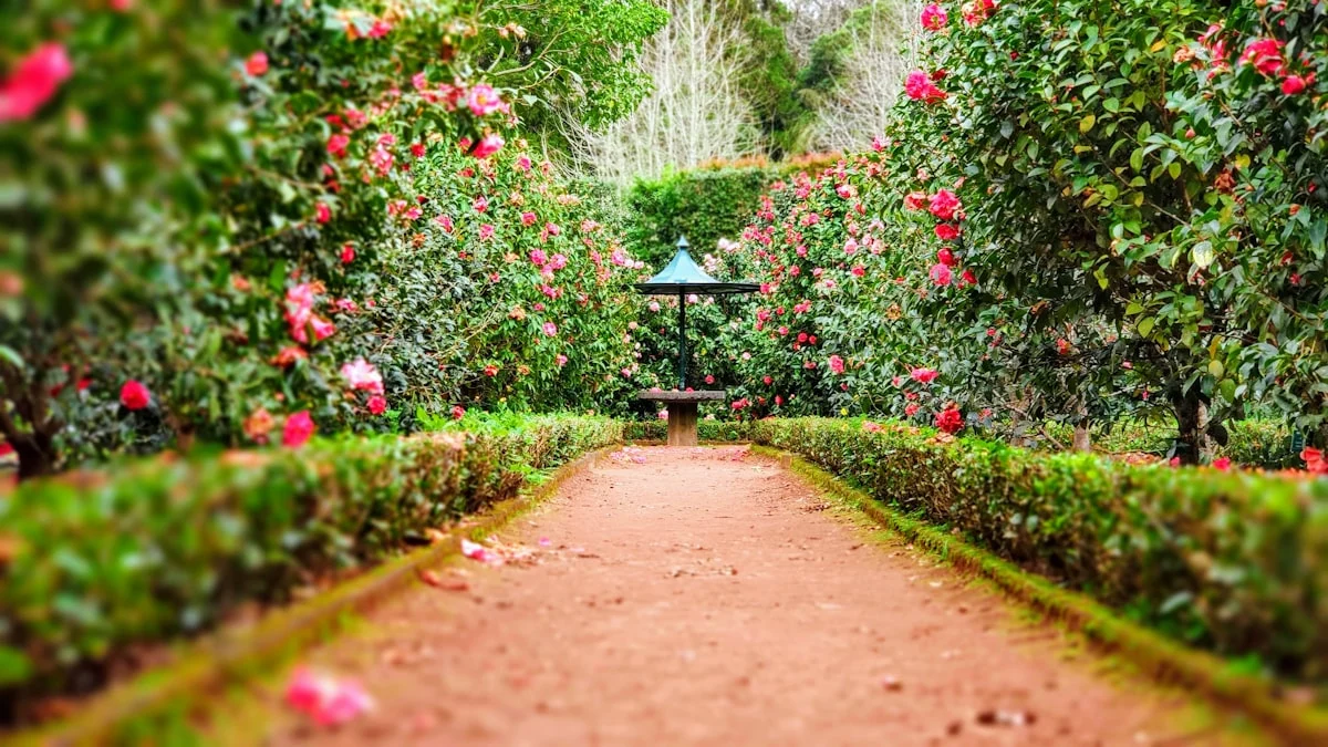 Il Giardino Si Innaffia Da Solo: Le 8 Migliori Centraline per l’Irrigazione del 2026 (Smart e Affidabili)